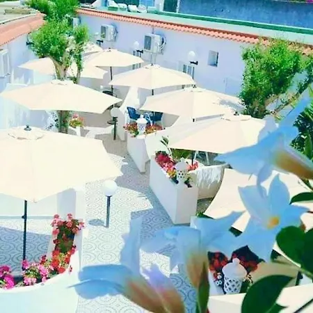 Hotel Vela Ischia Forio di Ischia