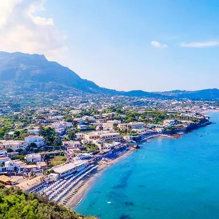 Hotel Vela Ischia Forio di Ischia